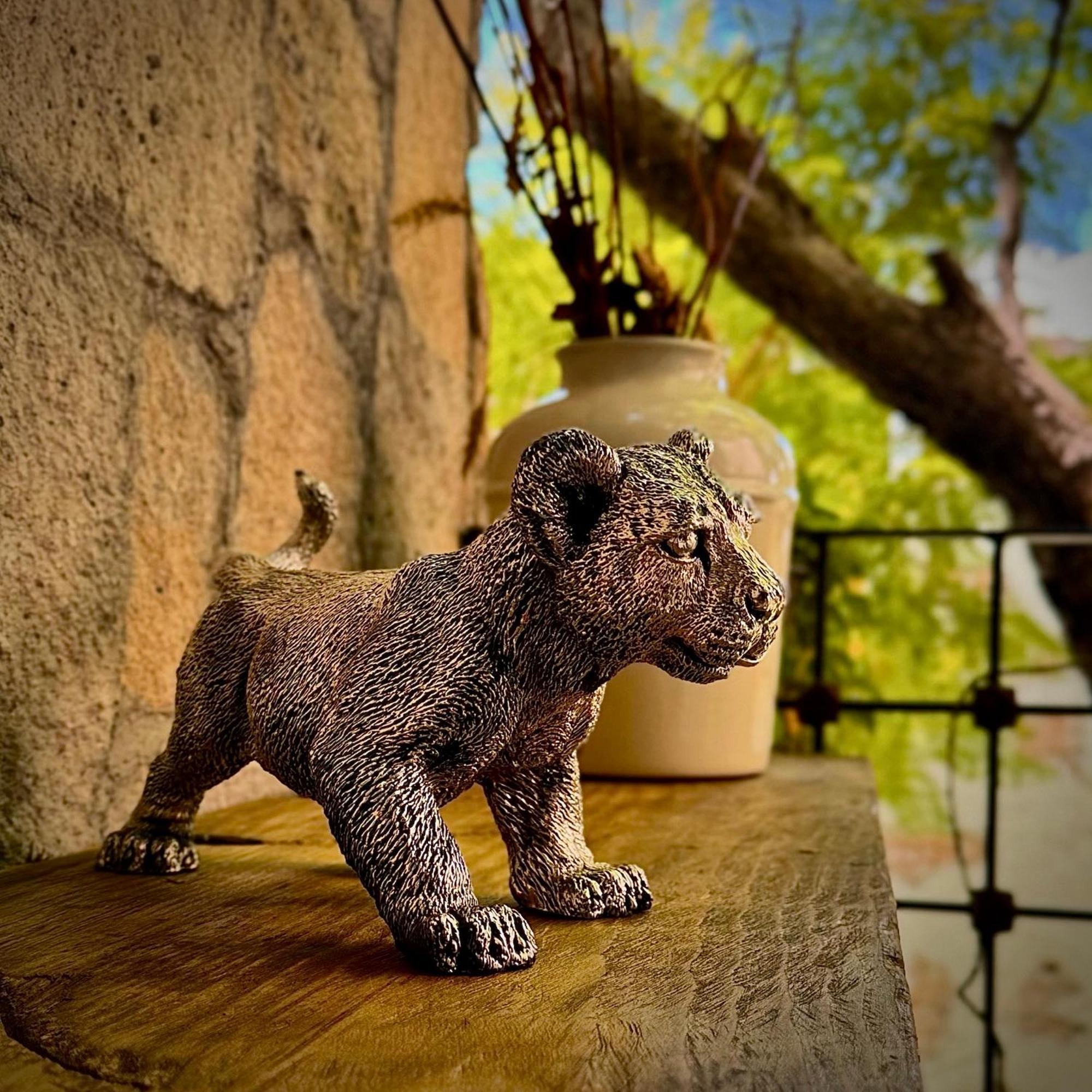 Hotel Boutique Casa Laja San Miguel de Allende Eksteriør bilde